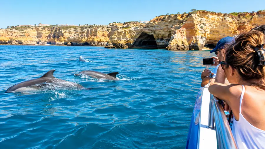 Albufeira Dolphin Watching and Cave Boat Tours