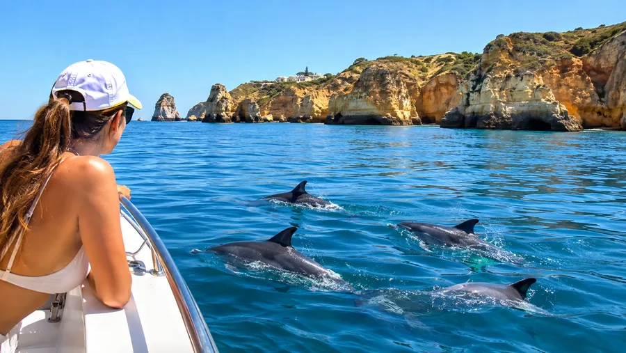 Lagos Dolphin Watching and Boat Tours Guide