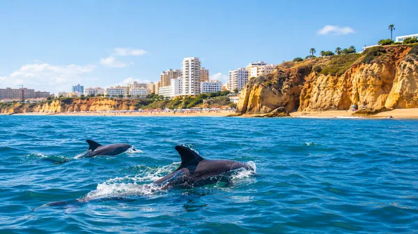 Praia da Rocha